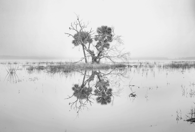 Paul Tilton